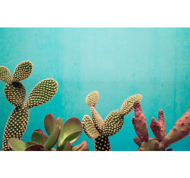Fototapete Kakteen Wand mit blauem Hintergrund - TenStickers