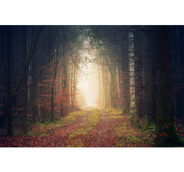 Fototapete einer Waldstraße im Herbst - TenStickers