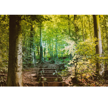 Tapete Wohnzimmer Natur Weg Treppen im Wald - TenStickers