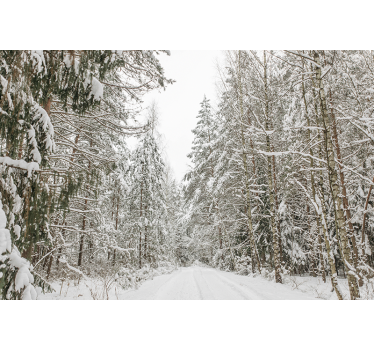Fototapete mit Wald im Winter - TenStickers
