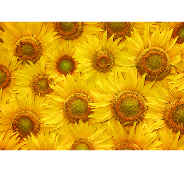 Fototapete Sonnenblumen für Wohnzimmer - TenStickers