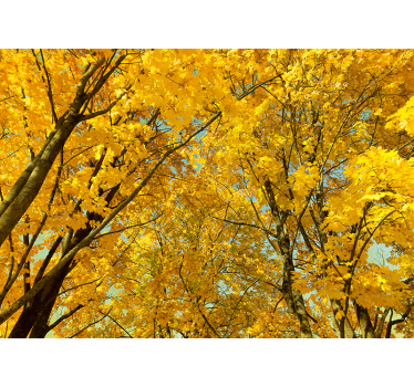 Baum Fototapete gelbe Herbstblätter - TenStickers