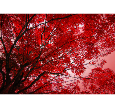 Rote Zweige Baum Fototapete - TenStickers