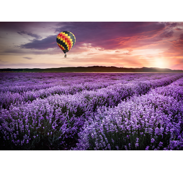 Fototapete Blumen lavendelfeld ruhe - TenStickers