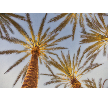 Fototapete baum palmbaum umriss - TenStickers