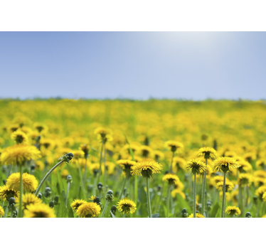 Fototapete pusteblume wiesenlandschaft - TenStickers