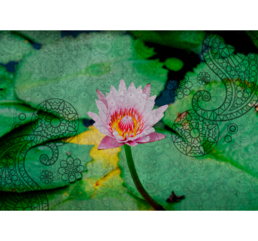 Fototapete mohnblumen lotusblüten eleganz - TenStickers