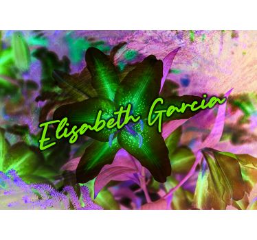 Fototapete Blumen lilie florale eleganz - TenStickers
