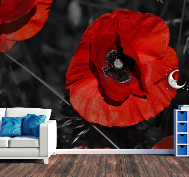 Blüte Mohn Blume Fototapete  - TenStickers