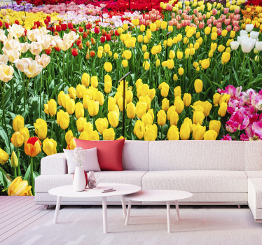 Bunte Tulpen Blumen Fototapete - TenStickers