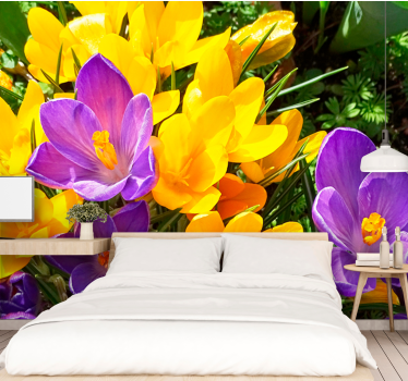 Fototapete blumen bunte krokusblüten - TenStickers