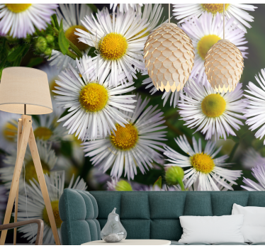 Fototapete blumen charmante weiße gänseblümchen - TenStickers