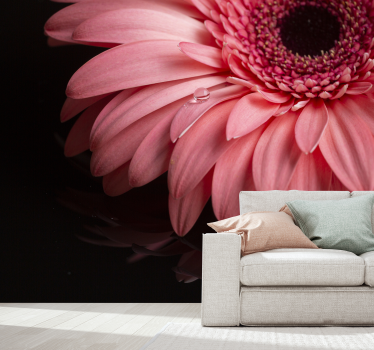 Fototapete Blumen gerbera blütenblatt nahaufnahme - TenStickers
