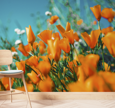 Fototapete blumen goldene mohnblüten - TenStickers