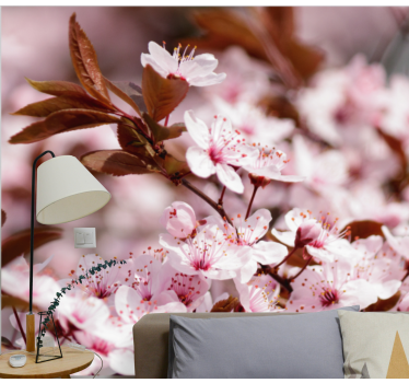 Fototapete Blumen kirschblüten-eleganz - TenStickers
