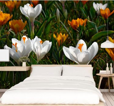 Fototapete blumen krokusblüte - TenStickers