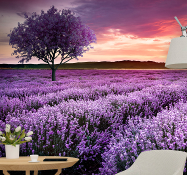Fototapete blumen lavendelwiese im zwielicht - TenStickers