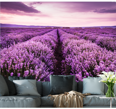 Fototapete blumen lavendelwiesen ruhe - TenStickers