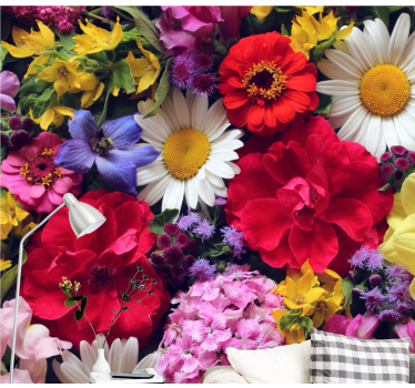 Fototapete blumen lebendige blumenanordnung - TenStickers