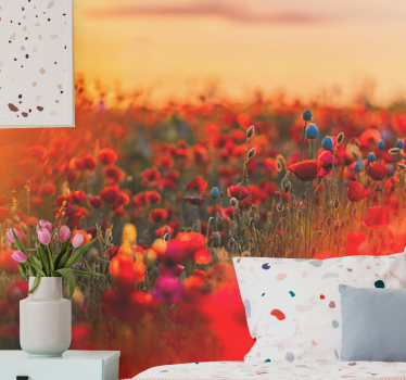 Fototapete Mohnblumen frühlingsfeld im sonnenuntergang - TenStickers