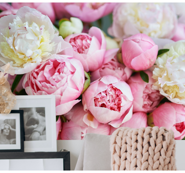Fototapete blumen pfingstrose kollektion - TenStickers