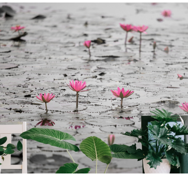 Fototapete blumen pinke lotusblüten - TenStickers