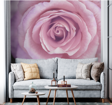 Fototapete blumen pinke rosenblüte - TenStickers