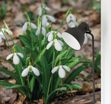Fototapete blumen schneeglöckchen arrangement - TenStickers