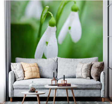 Fototapete blumen schneeglöckchen eleganz - TenStickers