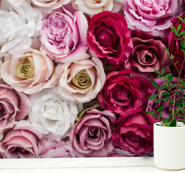 Fototapete blumen schöne rosen kollektion - TenStickers