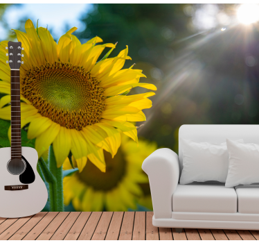 Fototapete blumen sonnenblumen leuchtend schön - TenStickers