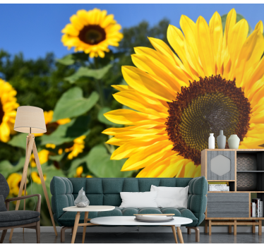 Fototapete blumen sonnenblumen schönheit - TenStickers