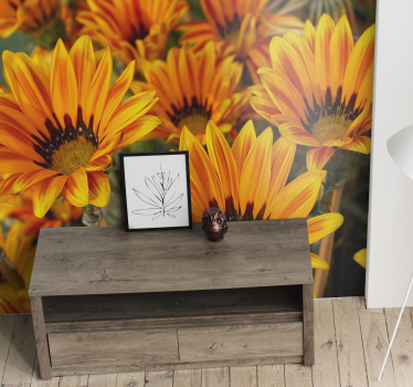 Fototapete blumen sonnenlicht orange blumen - TenStickers