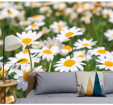 Fototapete blumen strahlend blühende gänseblümchen - TenStickers