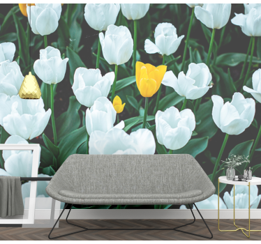 Fototapete Blumen weiße tulpen blühen - TenStickers