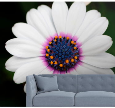 Fototapete blumen weißer blütenzauber - TenStickers