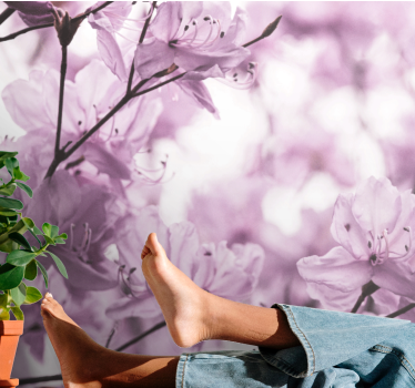 Fototapete Blumen zarte rosa blüten - TenStickers