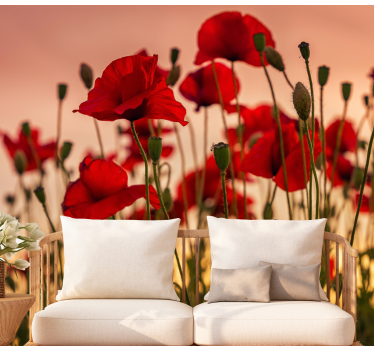 Fototapete Mohn Mohnblumen mit sonnenuntergang - TenStickers