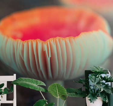 Fototapete mohnblumen elegante poppy blossom - TenStickers