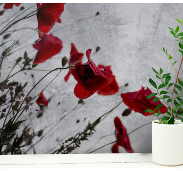Fototapete mohnblumen elegante rote mohnblumen - TenStickers