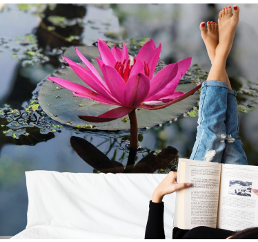 Fototapete Mohnblumen eleganter rosa lotus - TenStickers