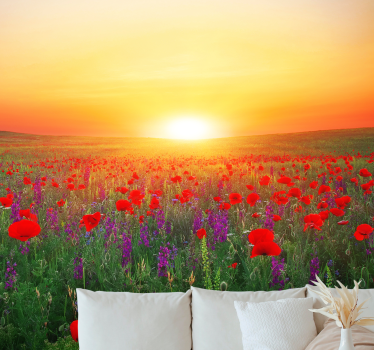 Fototapete mohnblumen goldener sonnenuntergang - TenStickers