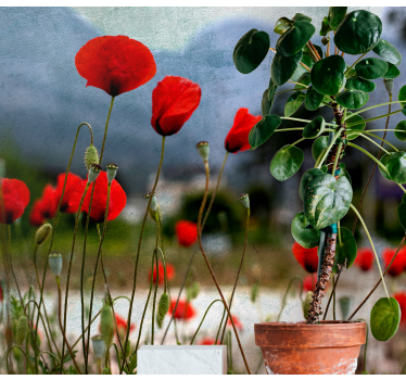 Fototapete Mohnblumen lebendige Blüten - TenStickers