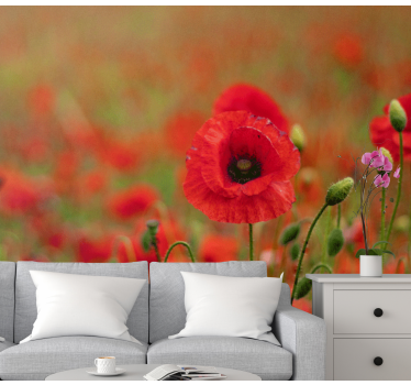 Fototapete mohnblumen lebendige mohnblüten - TenStickers