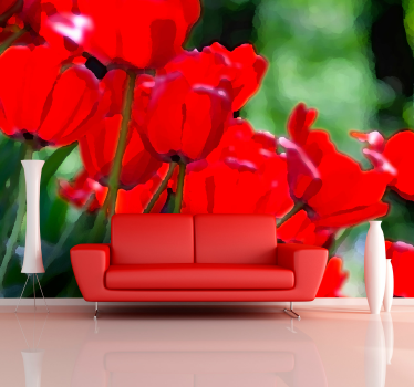 Fototapete Mohnblumen leuchtend rote blüten - TenStickers