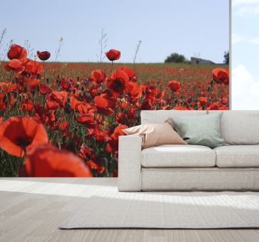 Fototapete Mohnblumen beruhigtes feld - TenStickers
