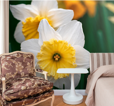 Fototapete mohnblumen narzissenblüten eleganz - TenStickers