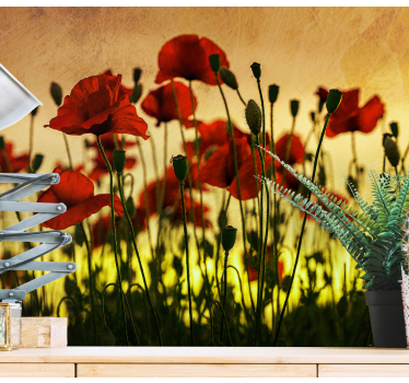 Fototapete mohnblumen poppy flower blüte - TenStickers