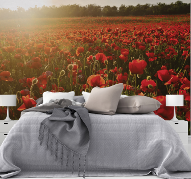 Fototapete mohnblumen poppy meadow blossom - TenStickers