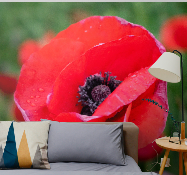 Fototapete mohnblumen rote mohnblüte - TenStickers